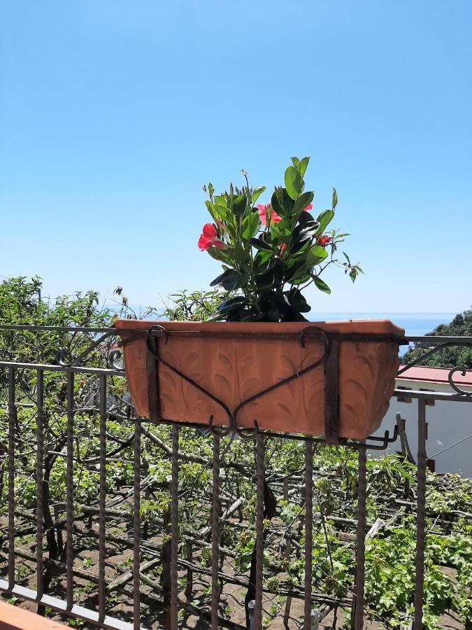 Casa Almary Διαμέρισμα Αμάλφι Εξωτερικό φωτογραφία